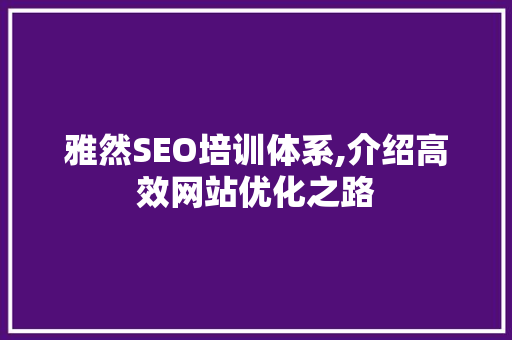 雅然SEO培训体系,介绍高效网站优化之路
