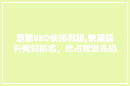 麒麟SEO快排教程,快速提升网站排名，抢占市场先机