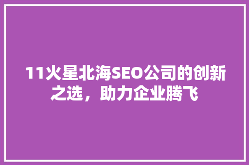11火星北海SEO公司的创新之选，助力企业腾飞