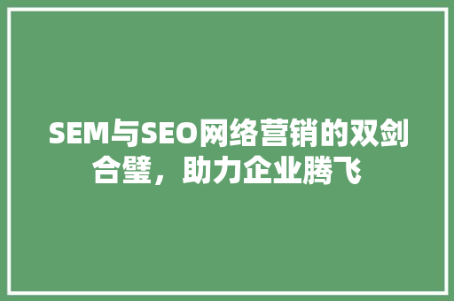SEM与SEO网络营销的双剑合璧，助力企业腾飞