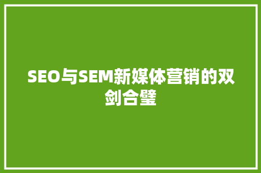 SEO与SEM新媒体营销的双剑合璧