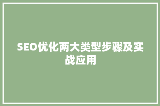 SEO优化两大类型步骤及实战应用
