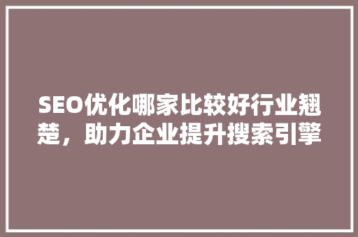 SEO优化哪家比较好行业翘楚，助力企业提升搜索引擎排名