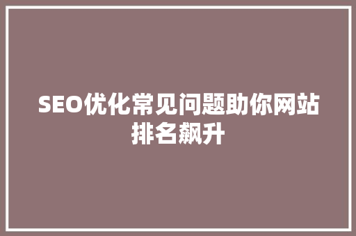 SEO优化常见问题助你网站排名飙升