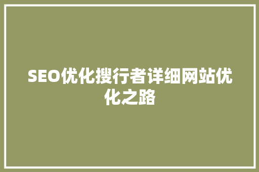 SEO优化搜行者详细网站优化之路