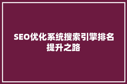 SEO优化系统搜索引擎排名提升之路