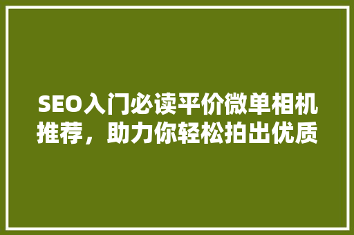SEO入门必读平价微单相机推荐，助力你轻松拍出优质内容