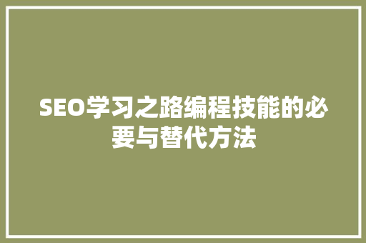 SEO学习之路编程技能的必要与替代方法