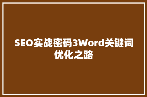 SEO实战密码3Word关键词优化之路