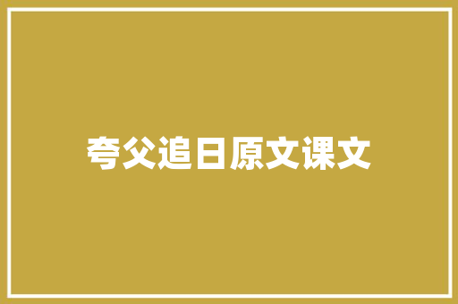 企事业代码数字时代的基石与未来展望