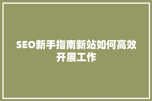 SEO新手指南新站如何高效开展工作