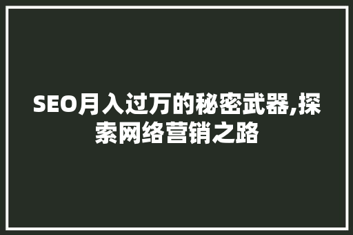 SEO月入过万的秘密武器,探索网络营销之路