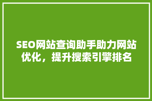 SEO网站查询助手助力网站优化，提升搜索引擎排名