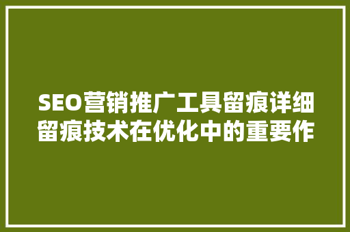 SEO营销推广工具留痕详细留痕技术在优化中的重要作用