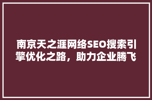 南京天之涯网络SEO搜索引擎优化之路，助力企业腾飞
