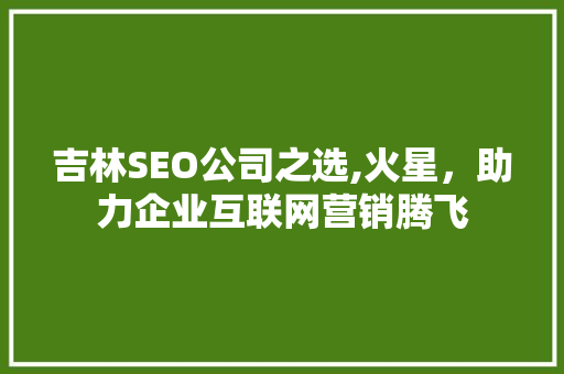 吉林SEO公司之选,火星，助力企业互联网营销腾飞