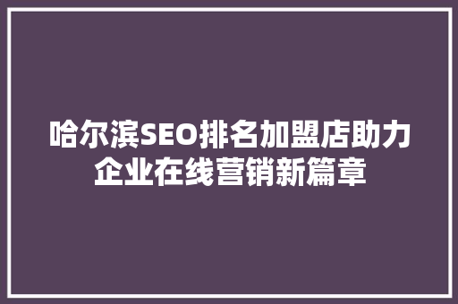 哈尔滨SEO排名加盟店助力企业在线营销新篇章