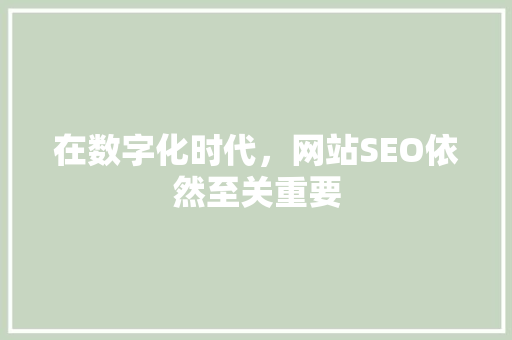 在数字化时代，网站SEO依然至关重要
