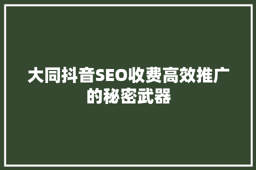 大同抖音SEO收费高效推广的秘密武器