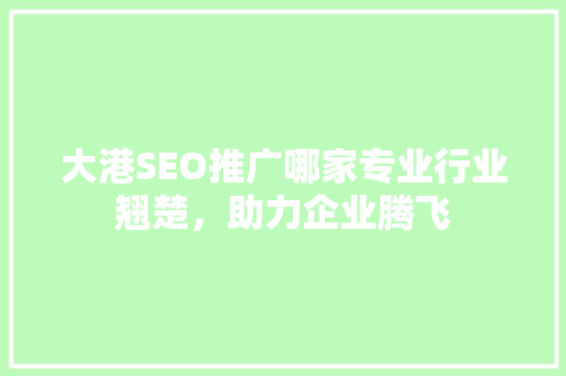 大港SEO推广哪家专业行业翘楚，助力企业腾飞