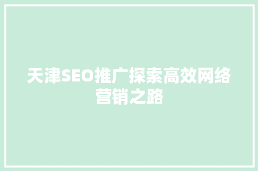 天津SEO推广探索高效网络营销之路