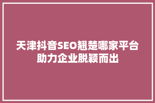 天津抖音SEO翘楚哪家平台助力企业脱颖而出