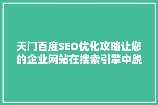 天门百度SEO优化攻略让您的企业网站在搜索引擎中脱颖而出