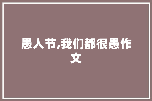 宁波SEO公司成功之路13火星的奥秘