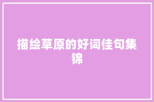 宁波网站SEO优化方法助力企业网站在搜索引擎中脱颖而出