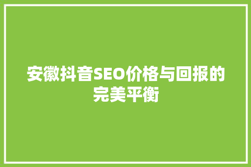 安徽抖音SEO价格与回报的完美平衡