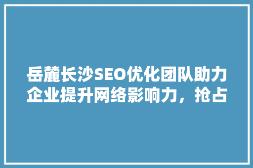 岳麓长沙SEO优化团队助力企业提升网络影响力，抢占市场份额