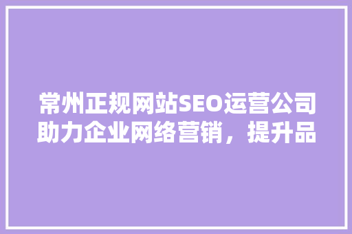 常州正规网站SEO运营公司助力企业网络营销，提升品牌影响力