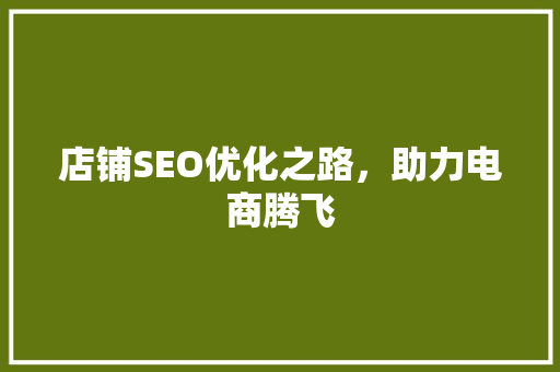 店铺SEO优化之路，助力电商腾飞