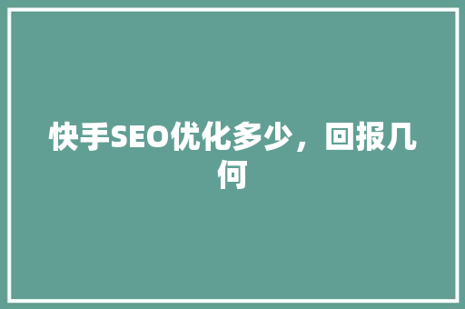 快手SEO优化多少，回报几何