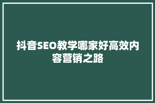 抖音SEO教学哪家好高效内容营销之路