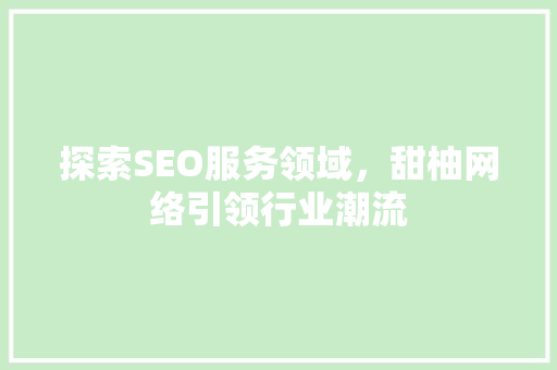 探索SEO服务领域，甜柚网络引领行业潮流