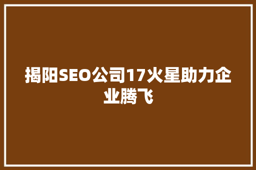 揭阳SEO公司17火星助力企业腾飞
