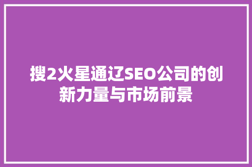 搜2火星通辽SEO公司的创新力量与市场前景