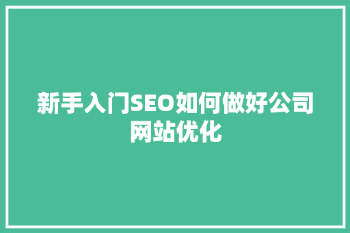 新手入门SEO如何做好公司网站优化