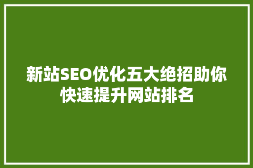 新站SEO优化五大绝招助你快速提升网站排名