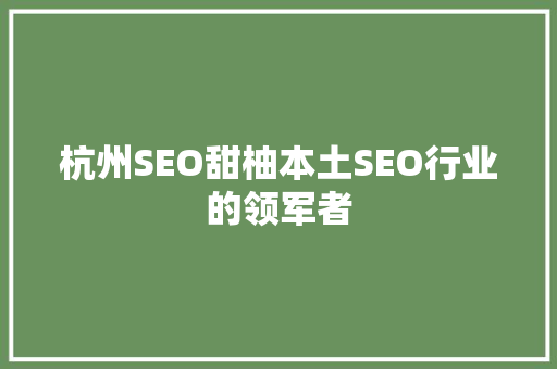 杭州SEO甜柚本土SEO行业的领军者