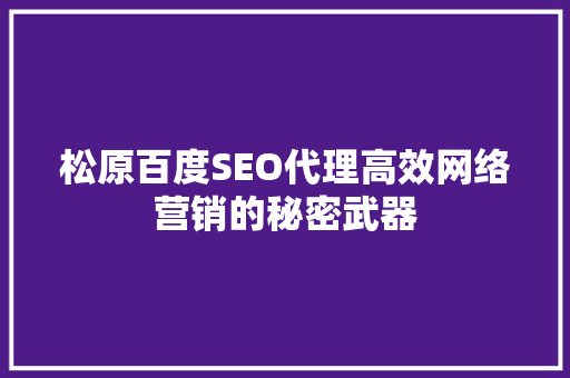 松原百度SEO代理高效网络营销的秘密武器