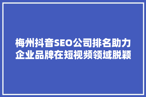 梅州抖音SEO公司排名助力企业品牌在短视频领域脱颖而出