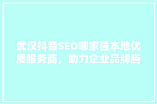 武汉抖音SEO哪家强本地优质服务商，助力企业品牌腾飞