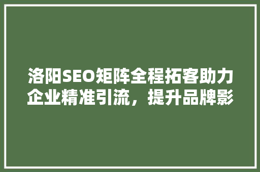 洛阳SEO矩阵全程拓客助力企业精准引流，提升品牌影响力