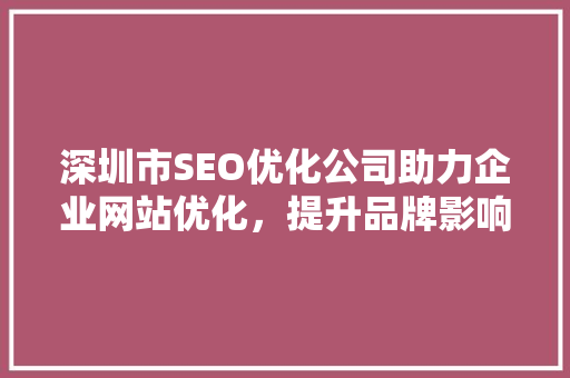 深圳市SEO优化公司助力企业网站优化，提升品牌影响力