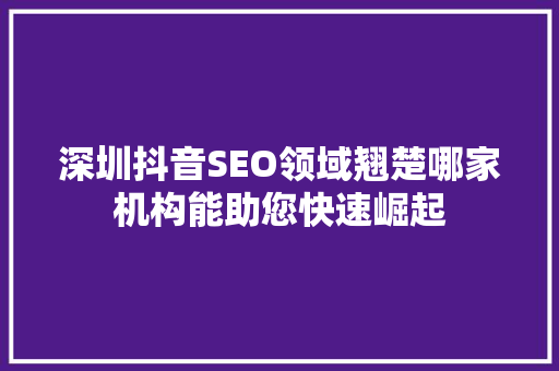 深圳抖音SEO领域翘楚哪家机构能助您快速崛起