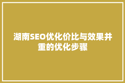 湖南SEO优化价比与效果并重的优化步骤