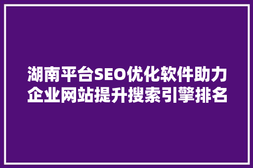 湖南平台SEO优化软件助力企业网站提升搜索引擎排名，抢占市场先机