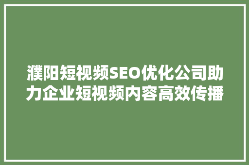 濮阳短视频SEO优化公司助力企业短视频内容高效传播